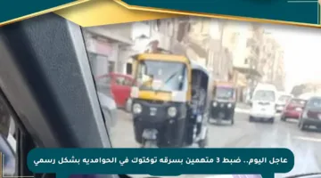 عاجل اليوم.. ضبط 3 متهمين بسرقة توكتوك في الحوامدية بشكل رسمي